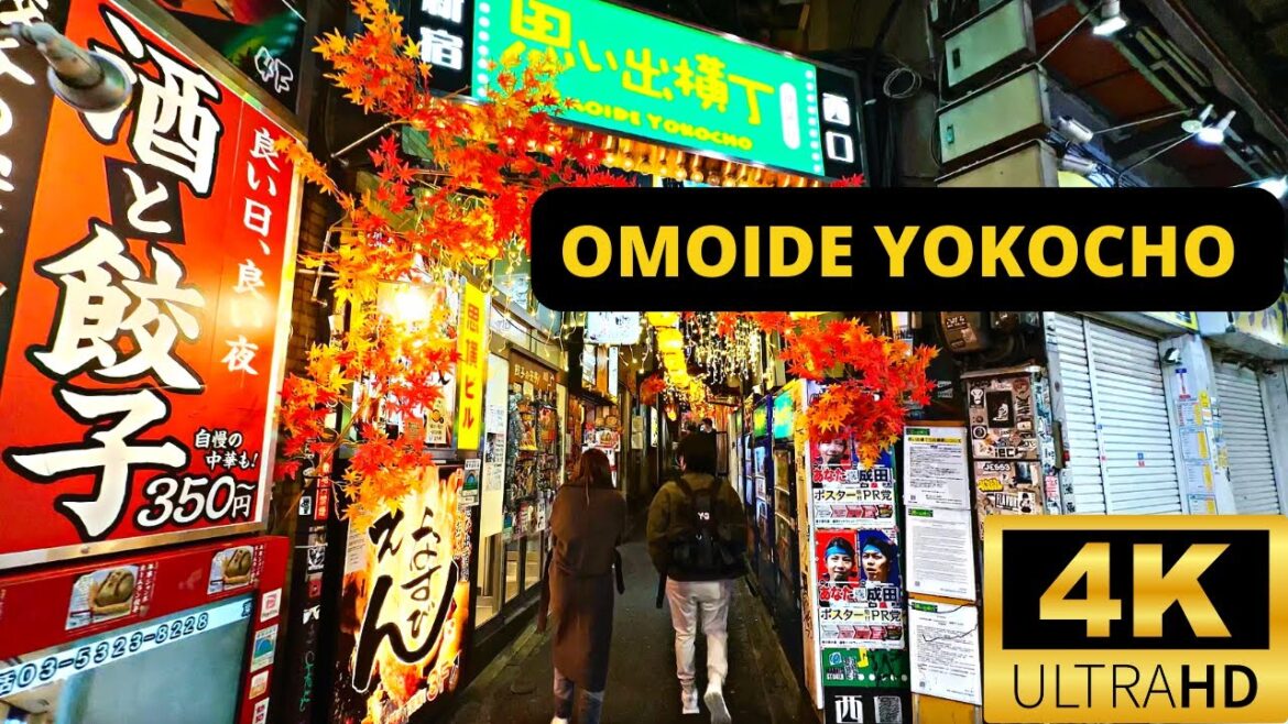 TOKYO, JAPAN 🇯🇵 [4K] SHINJUKU — Omoide Yokocho — DECEMBER 2022