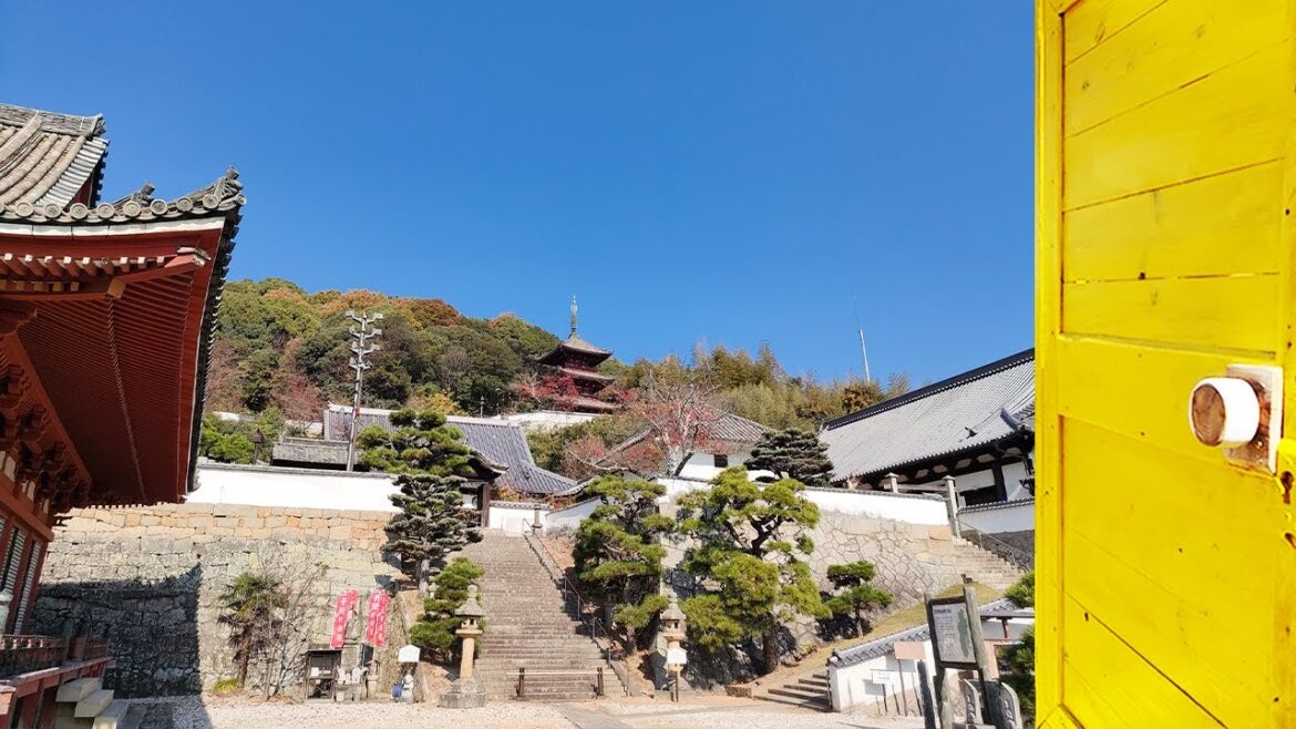 【4K Stroll】Visiting a Calm Buddhist Temple With a Scenic City View 【4K Stroll】Visiting a Calm Buddhist Temple With a Scenic City View