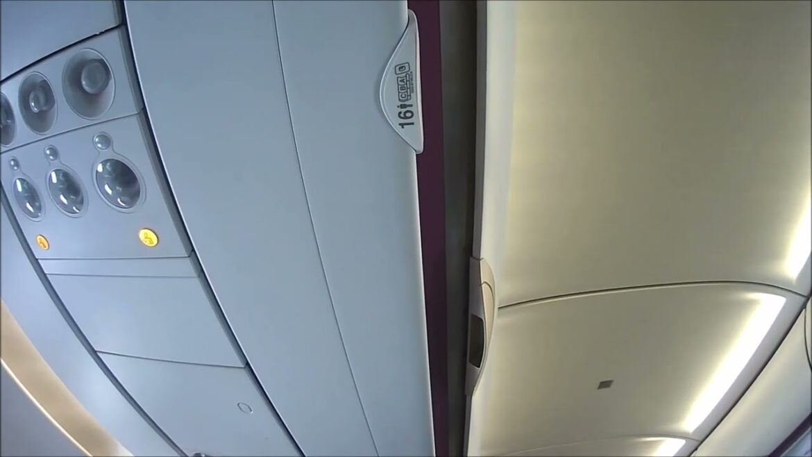 成田からのピーチ航空からの宮崎行きの機内の様子です。