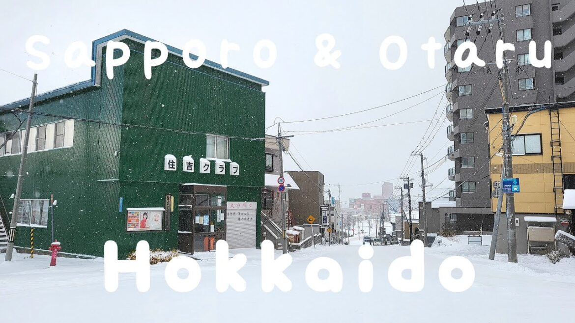 ☃️ 설국의 홋카이도 삿포로 & 오타루 여행 ep.2 ❄️ 징기스칸 굽는 방법•편의점 쇼핑•오도리공원•오타루 바다열차•함박눈 맞으며 오르골당 찾아가기 - 일본 겨울 여행 브이로그