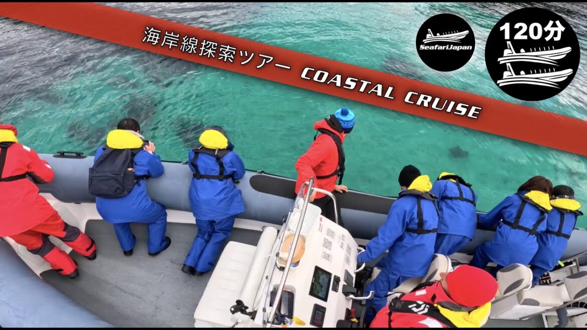 Seafari Japan Coastal Tour Winter season is the best season Last of 2022 Seafari Japan Coastal Tour Winter season is the best season Last of 2022