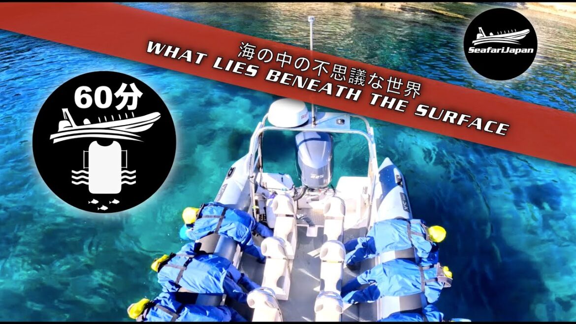海の中の不思議な世界WHAT LIES BENEATH THE SURFACE