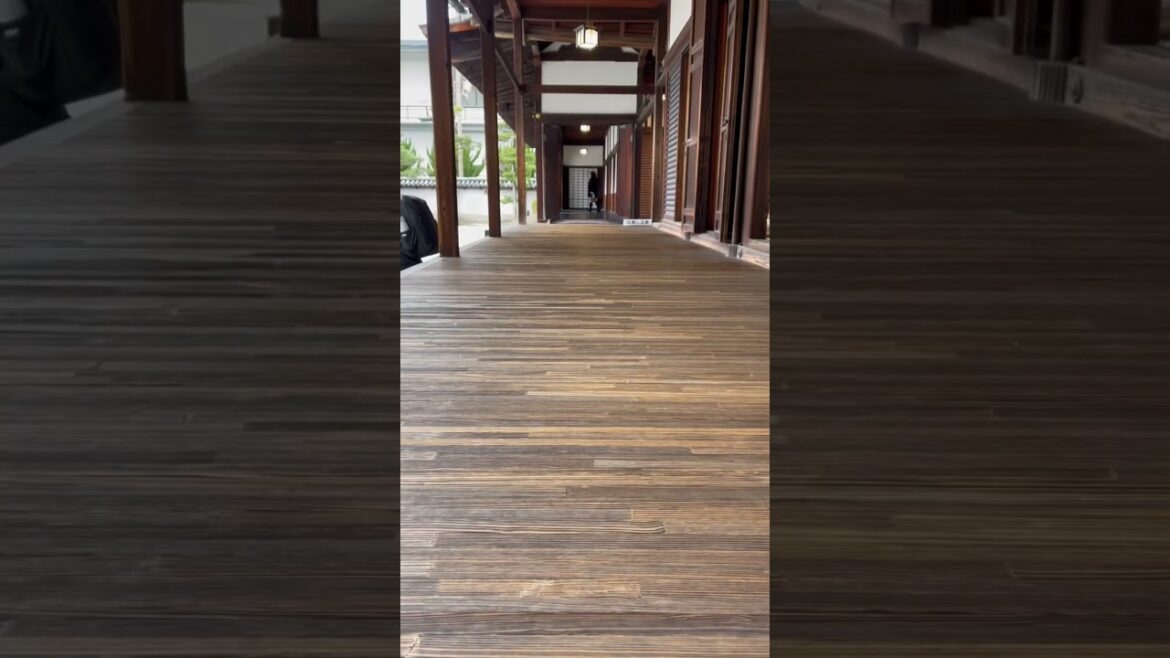 Kyoto Japan | Beautiful garden in Kanchi In Temple