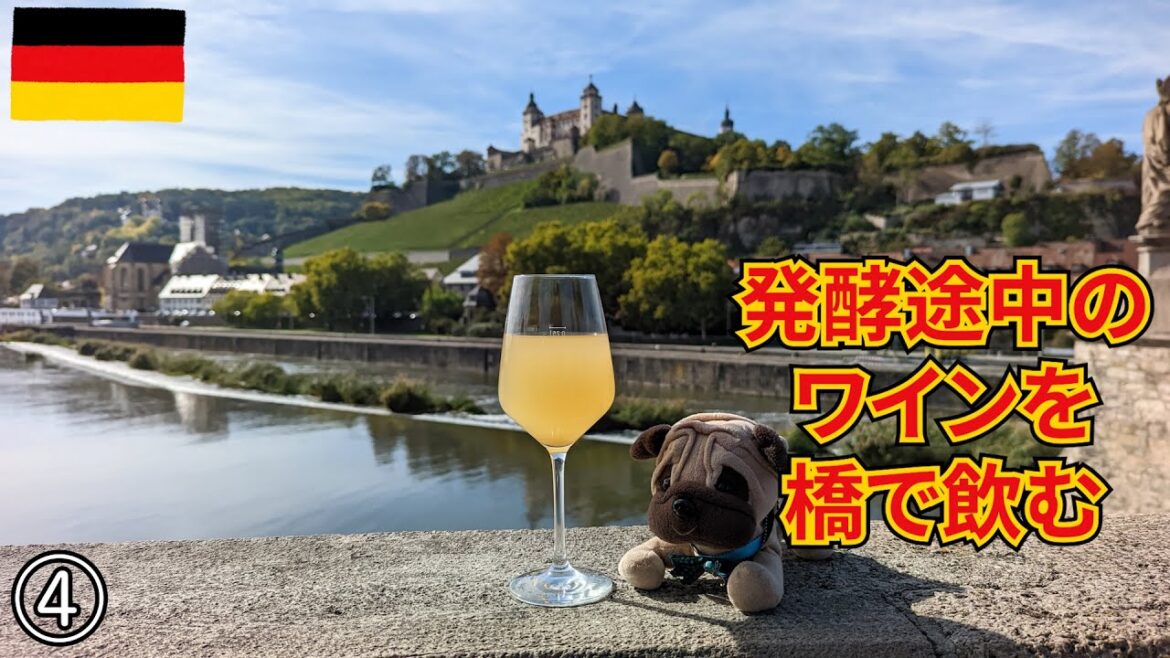 【ドイツ旅2022】美しい古都ヴュルツブルク 景色もフランケンワインもかなり最高です! 【ドイツ旅2022】美しい古都ヴュルツブルク 景色もフランケンワインもかなり最高です!