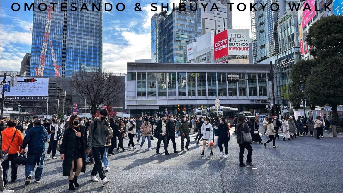 Tokyo Walk - Omotesando, Cat Street & Shibuya