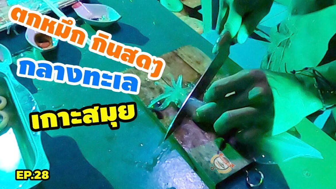 ตกหมึก กินสดๆ กลางทะเลเกาะสมุย Eat fresh squid on the sea in Koh Samui.