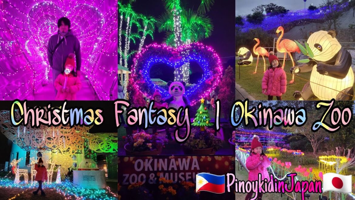 Christmas Fantasy 🎄 | Okinawa Zoo