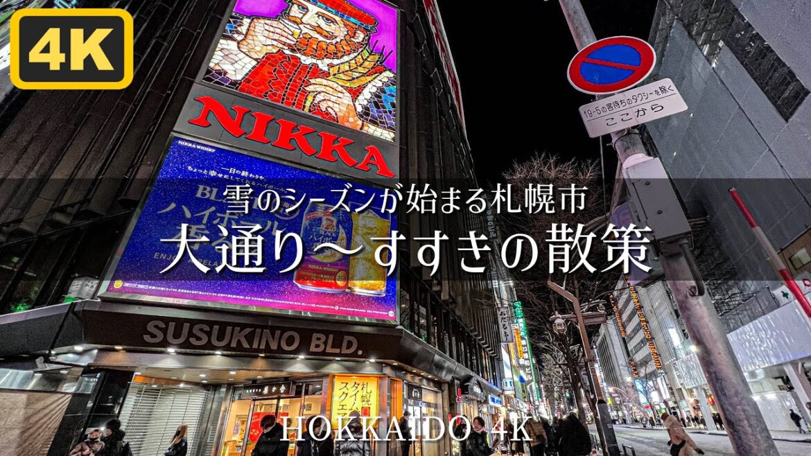 2022年ラストウォーク 大通り〜すすきの散策 Hokkaido Winter Street walk 2022年ラストウォーク 大通り〜すすきの散策 Hokkaido Winter Street walk
