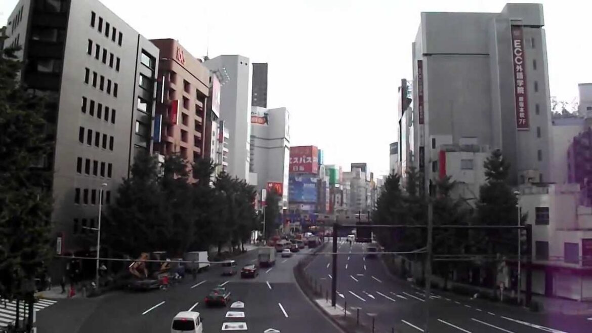 An Entire Day in Tokyo Tower