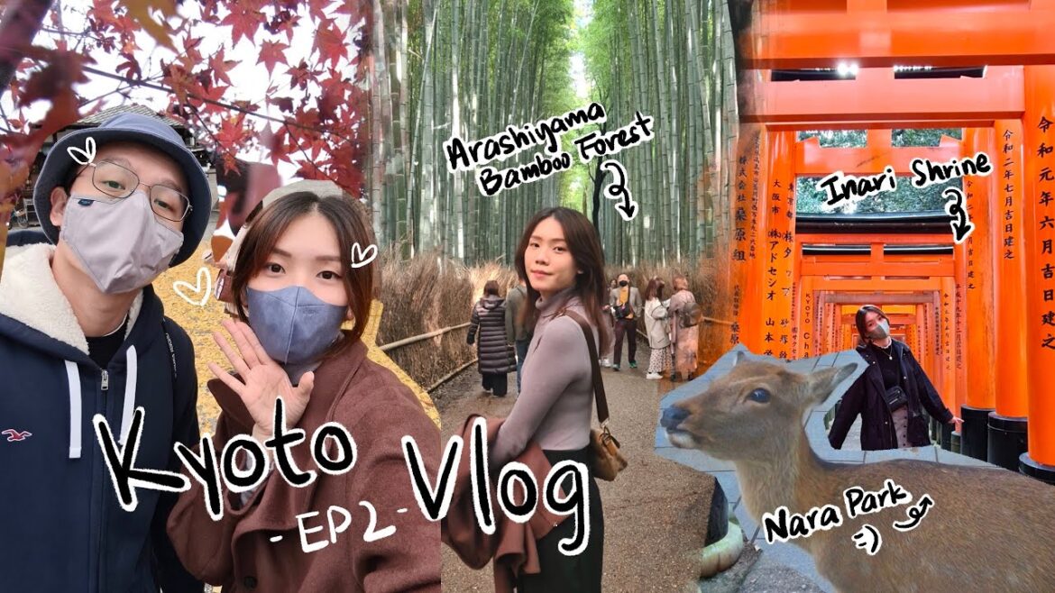JAPAN VLOG Ep2 | Osaka to Kyoto by train 🚝 Autumn in Kyoto, Arashiyama Bamboo Forest, Fushimi Inari