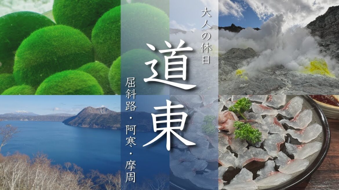 【北海道旅行vlog】道東の大自然と動物たちに出会う2泊3日の癒し旅!まりも/アイヌ/丹頂鶴/屈斜路湖/阿寒湖/摩周湖/温泉サウナ 【北海道旅行vlog】道東の大自然と動物たちに出会う2泊3日の癒し旅!まりも/アイヌ/丹頂鶴/屈斜路湖/阿寒湖/摩周湖/温泉サウナ