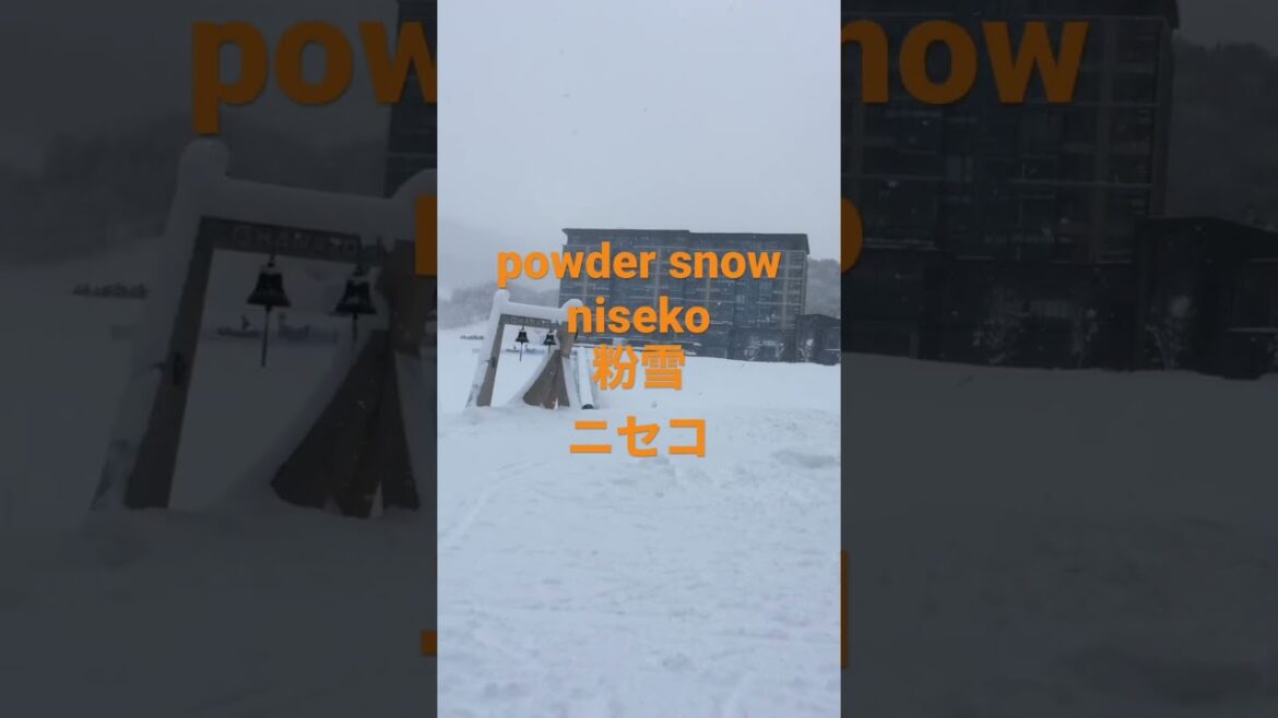 powder snow niseko