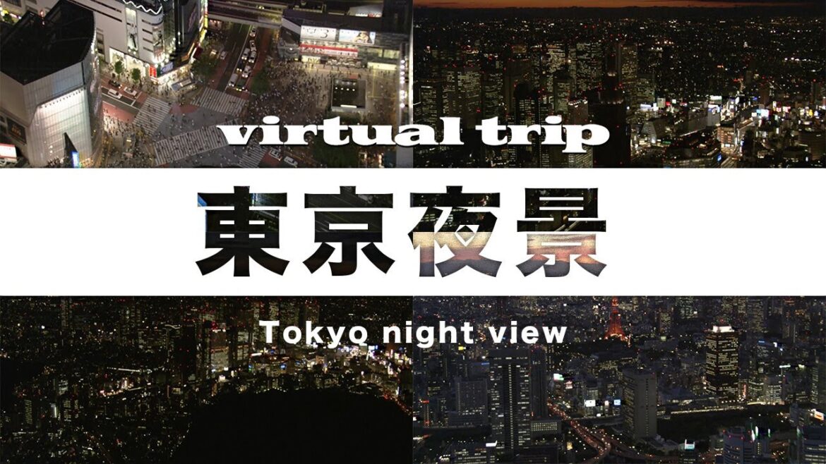 【空撮】空から見た東京は幻想的だった / Tokyo / virtual trip 【空撮】空から見た東京は幻想的だった / Tokyo / virtual trip