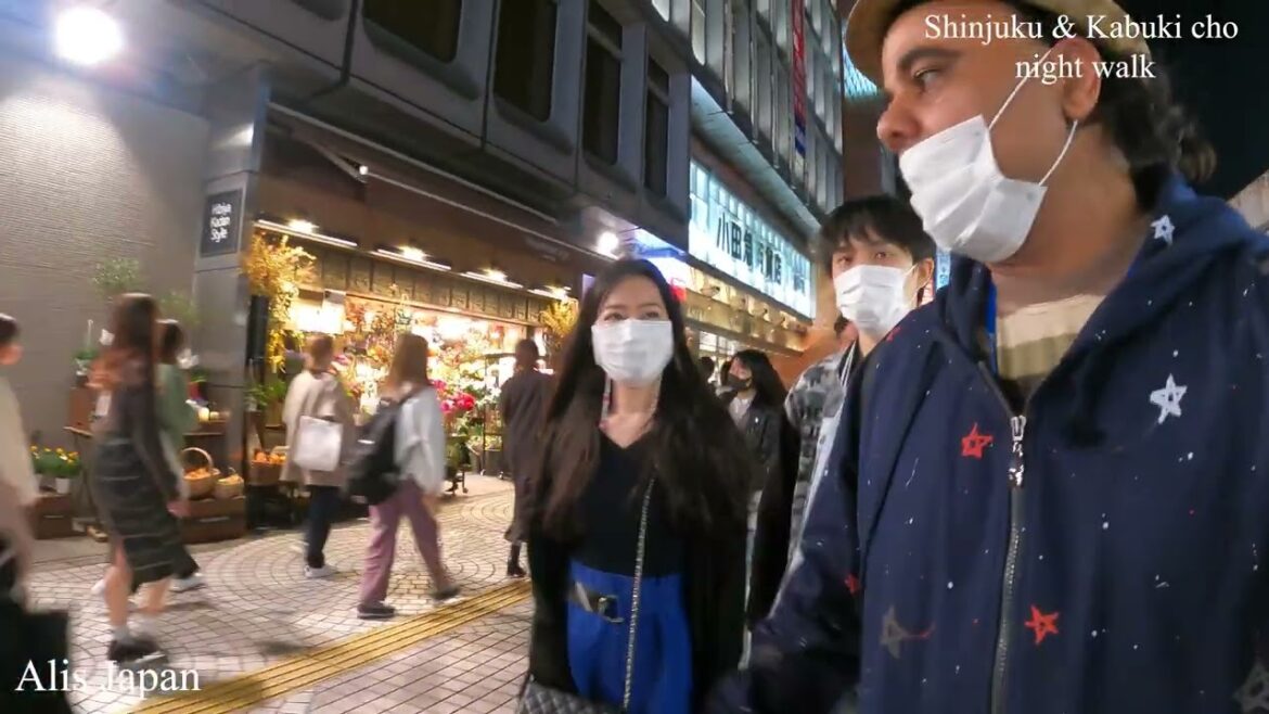 Shinjuku & kabuki cho night walk