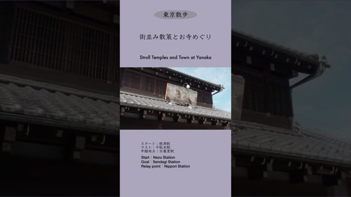 谷中|街並み散策と寺めぐり#shorts 谷中|街並み散策と寺めぐり#shorts