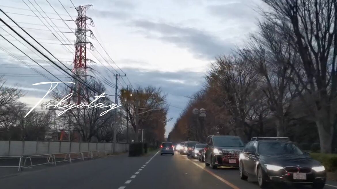 Driving on the Greenway | South Main Street, Tokyo, Japan | 南大通り, 東京朝霞線 | 大泉学園町九丁目西→朝霞警察署前