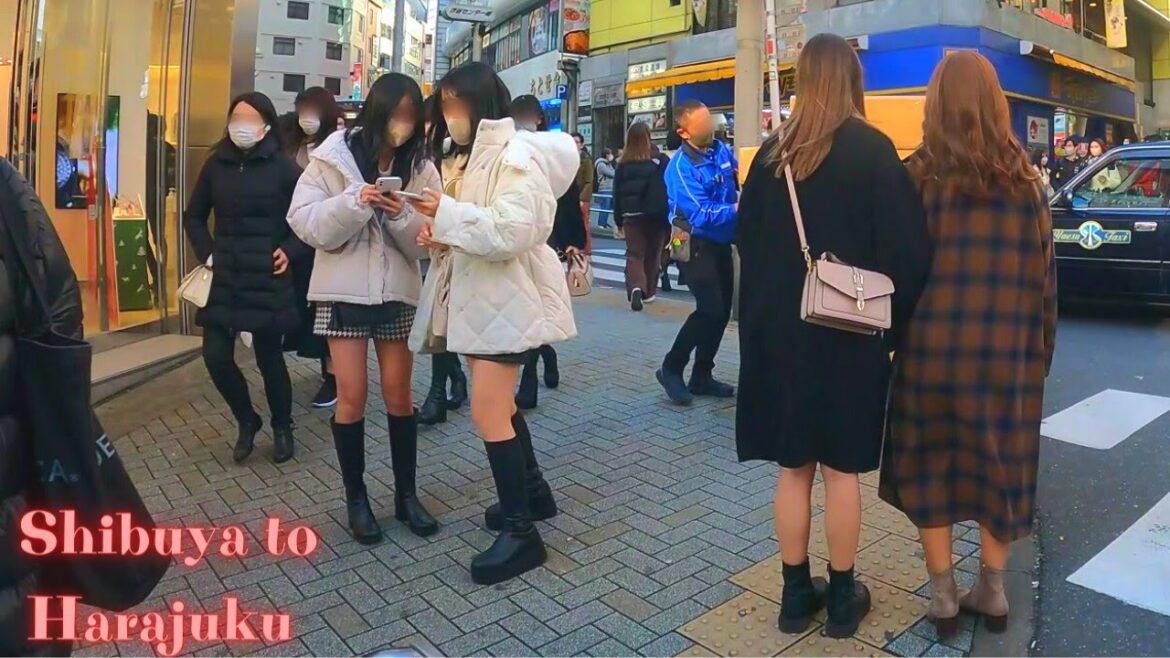 Shibuya to Harajuku Tokyo in Japan walking tour.【4K】12.2022