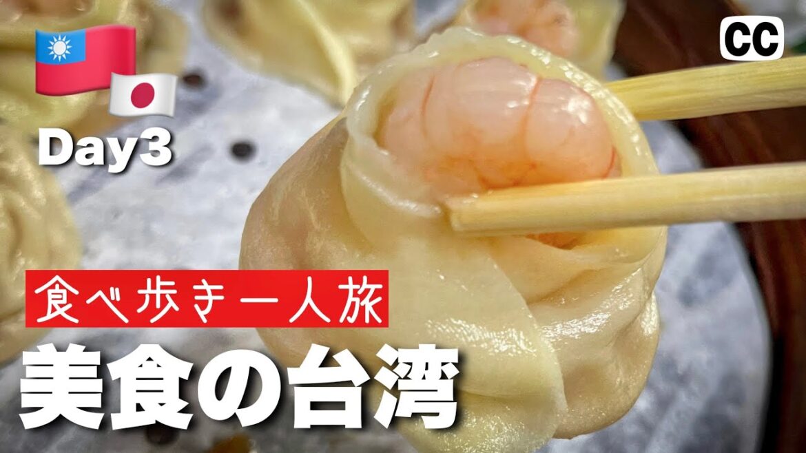 【2022🇹🇼台湾・台北 グルメひとり旅 3日目】小籠包・牛肉麺・杏仁豆腐・麺線・パイナップルケーキ!バスに乗って食べ歩き! 大阪-台北 4K Vlog 【2022🇹🇼台湾・台北 グルメひとり旅 3日目】小籠包・牛肉麺・杏仁豆腐・麺線・パイナップルケーキ!バスに乗って食べ歩き! 大阪-台北 4K Vlog