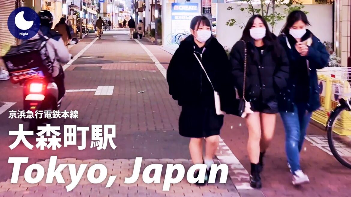 ⁴ᴷ Japan: Omorimachi Station, Tokyo / Keikyu Main Line : Walking Tour (December, 2022) ⁴ᴷ Japan: Omorimachi Station, Tokyo / Keikyu Main Line : Walking Tour (December, 2022)