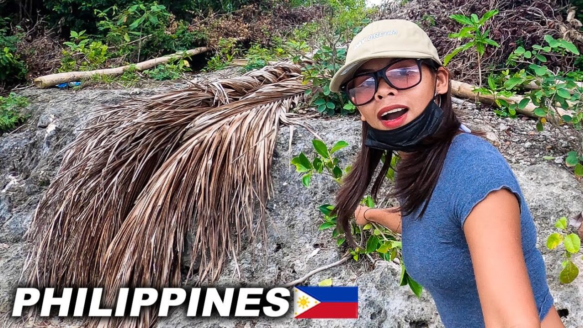 THEY use it INSTEAD of a FLASHLIGHT when FISHING at NIGHT( Philippines ) THEY use it INSTEAD of a FLASHLIGHT when FISHING at NIGHT( Philippines )