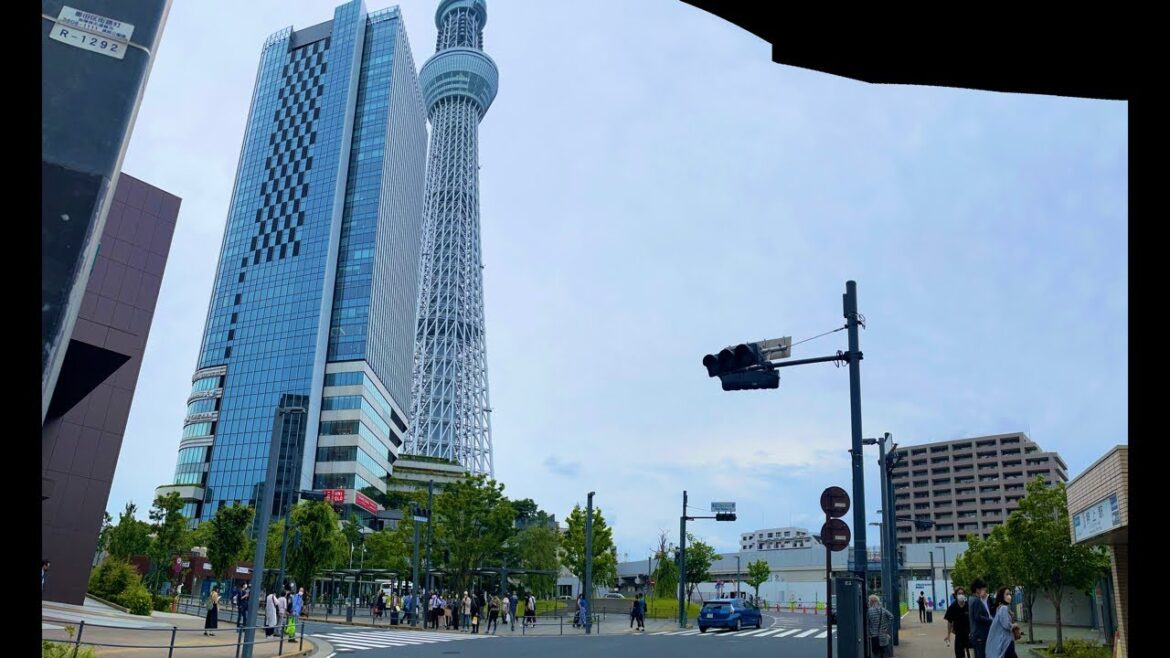 Sumida River Saturday Tokyo Live Walking Tour