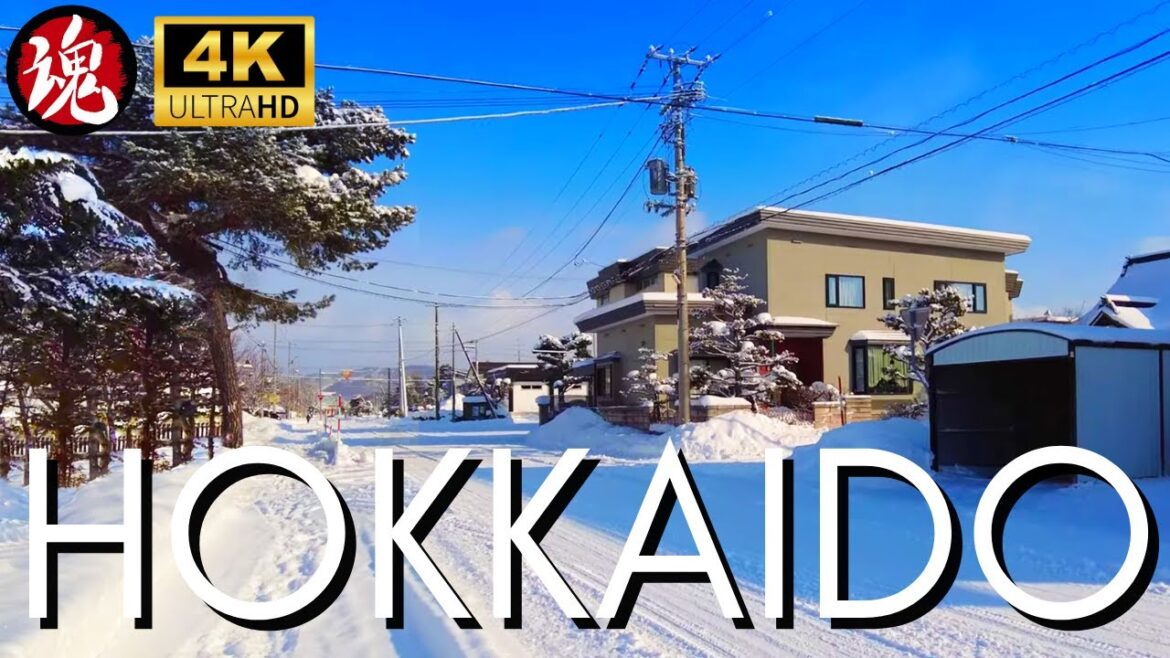 Winter Morning Walk In Freezing Japan | Higashikawa Hokkaido Winter Morning Walk In Freezing Japan | Higashikawa Hokkaido