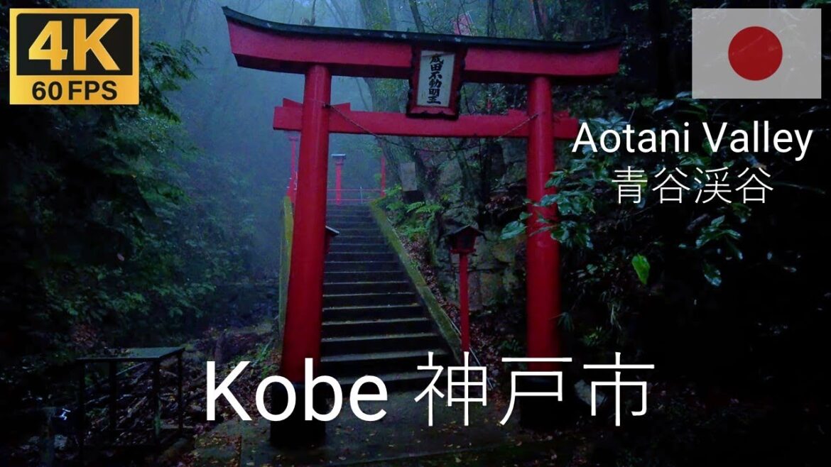 Kobe 神戸市 🇯🇵 | 2022 | 4K·60p | Dystopia Mood while Hiking in Foggy Aotani Valley | 霧の中の神戸青谷