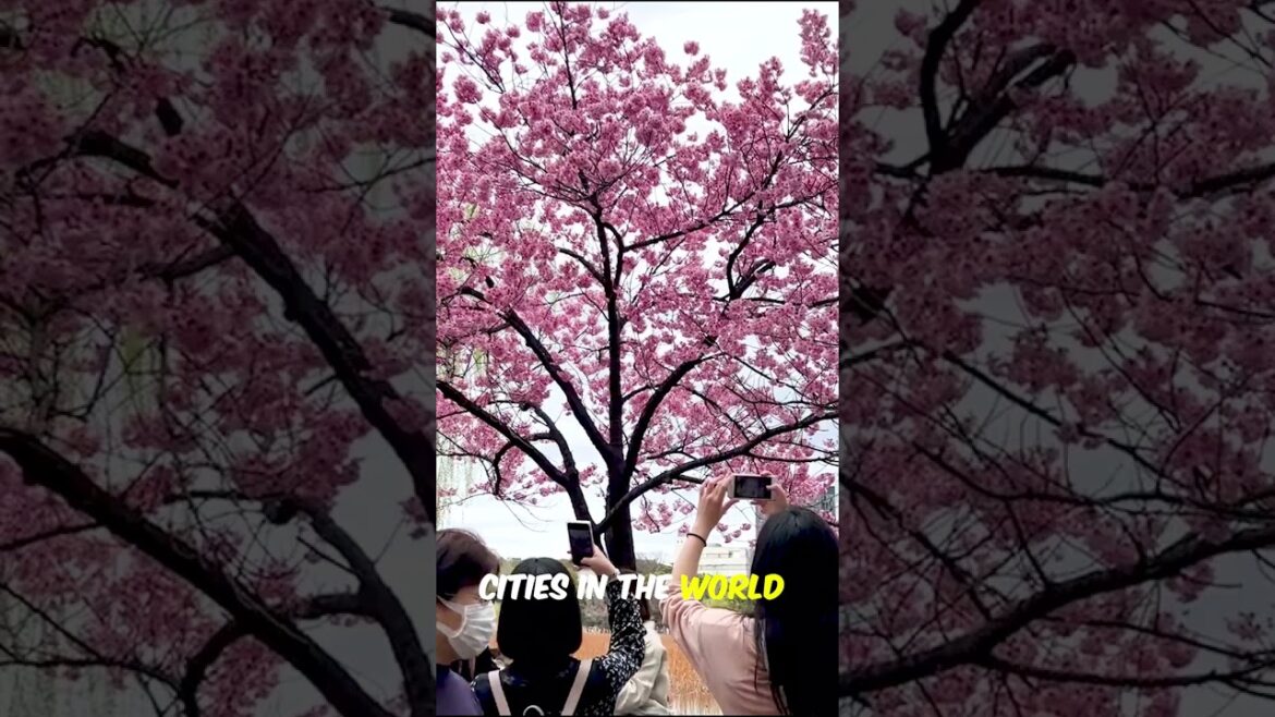 Tokyo Travel Guide 2022 #shorts #travel