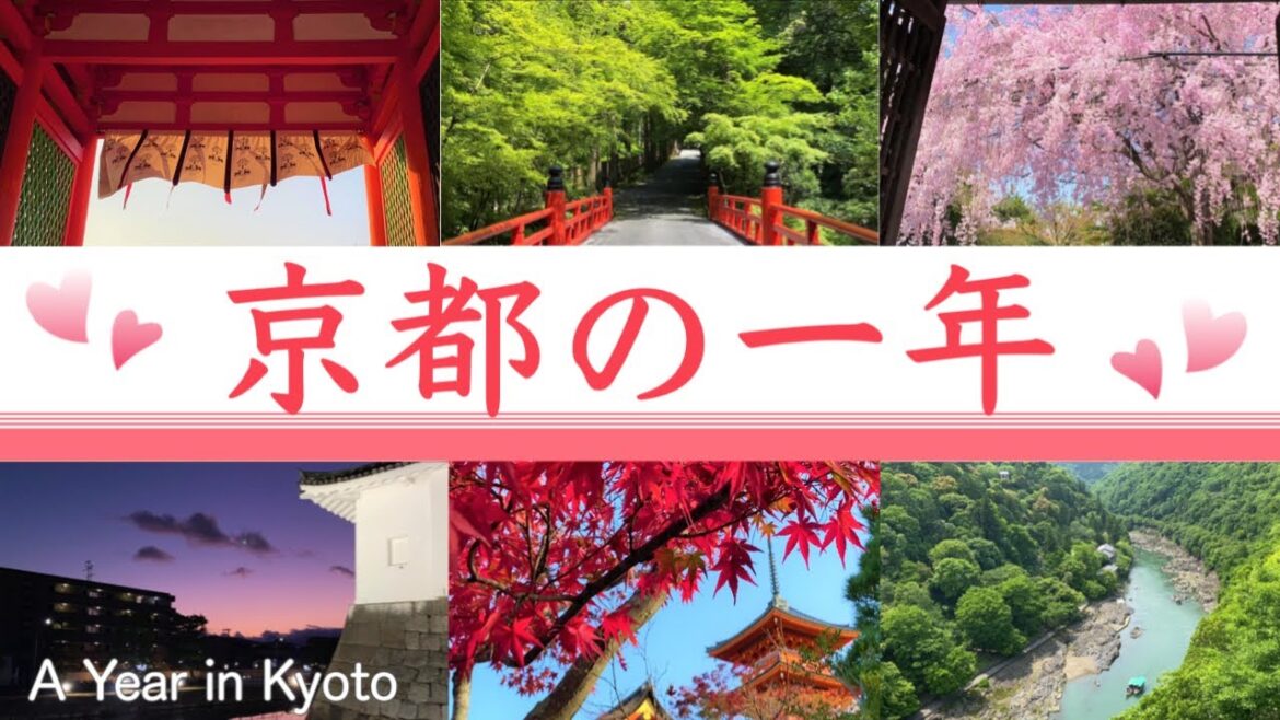 2022京都観光の一年を振り返りおすすめ&思い出の観光スポット総集編✨Highlights of Kyoto's recommended sightseeing spots(Japan)