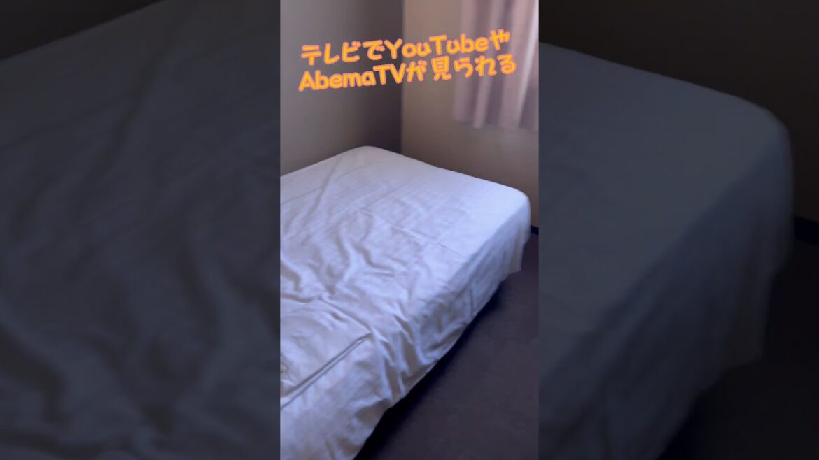 和歌山市『ワカヤマ第２冨士ホテル』でコスパ最高で静かに宿泊 / Wakayama Trip