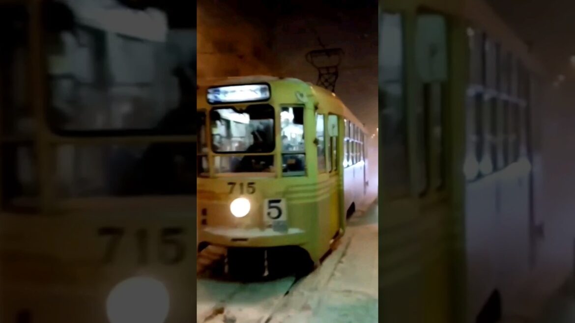 EXPLORE HAKODATE, HOKKAIDO-JEPANG SAAT WINTER