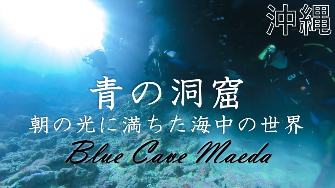 【沖縄 ダイビング】早朝の光が神々しい青の洞窟の海底から見る世界！！日の出と共に真栄田岬にエントリー！！