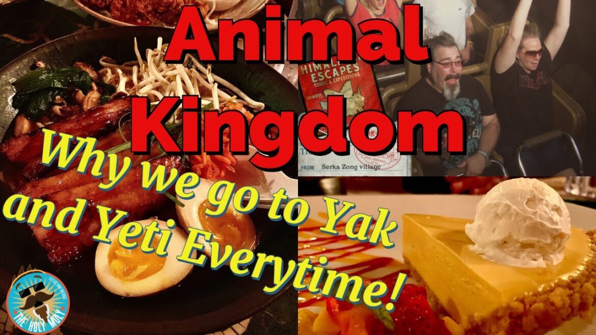 Why we go to Yak and Yeti Everytime! | Disney's Animal Kingdom | Best Places to Eat Why we go to Yak and Yeti Everytime! | Disney's Animal Kingdom | Best Places to Eat