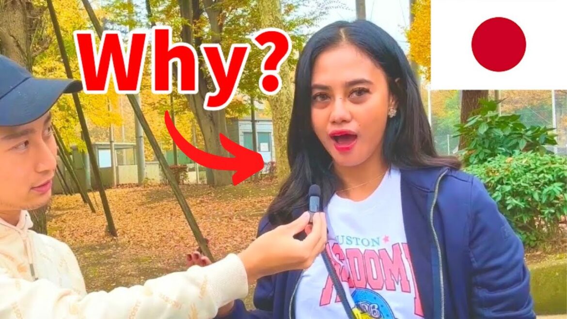 What's it like traveling in Japan for a Foreigner after the gate had opened?