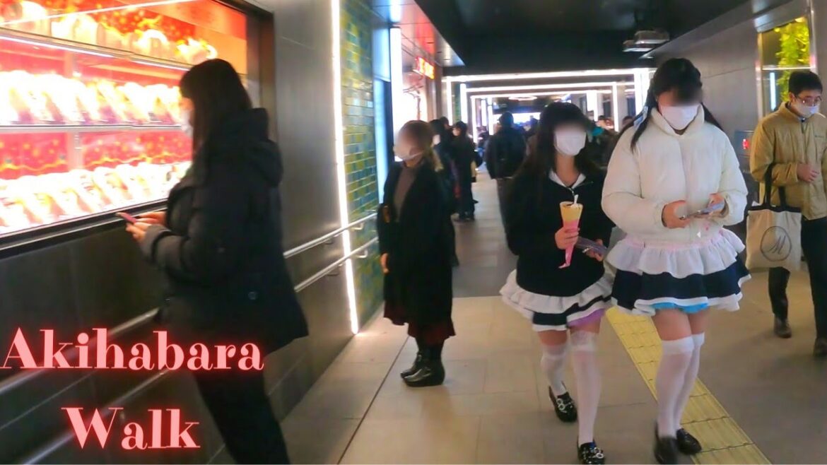 Akihabara, Tokyo, Japan walking tour.【4K】12.2022 Akihabara, Tokyo, Japan walking tour.【4K】12.2022