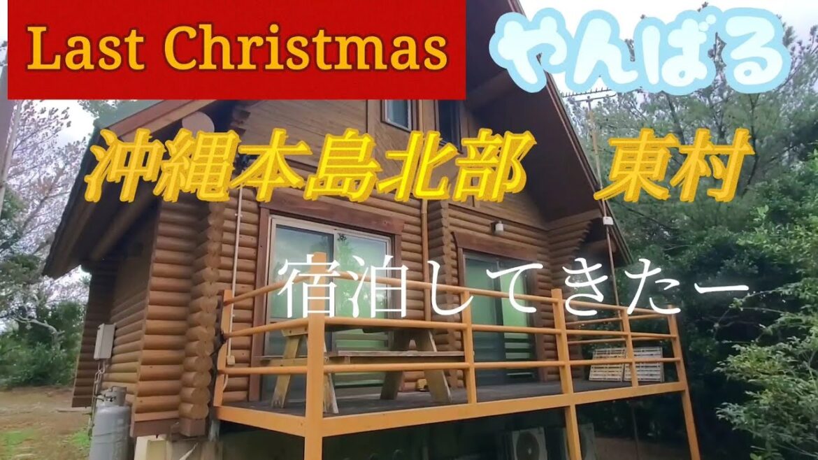 沖縄旅　沖縄本島北部　つつじエコーパーク宿泊　２０２３年２月までお手軽宿泊出来ますよー　#東村　Okinawa Bungalow