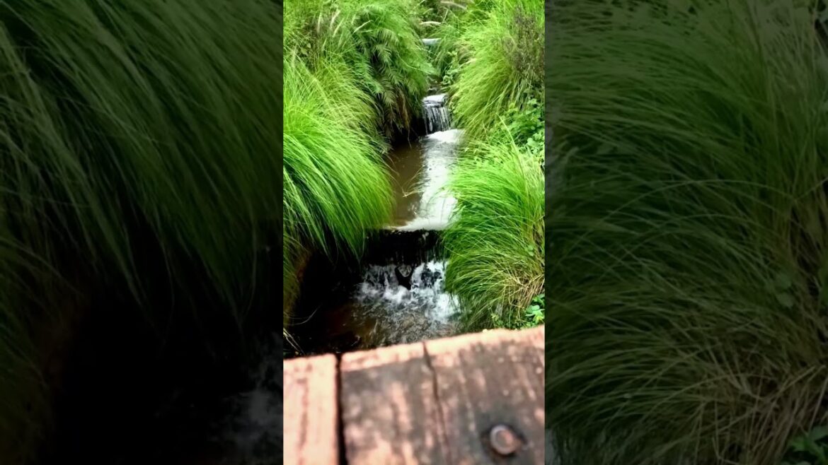 Okayama Friendship Garden || Pune