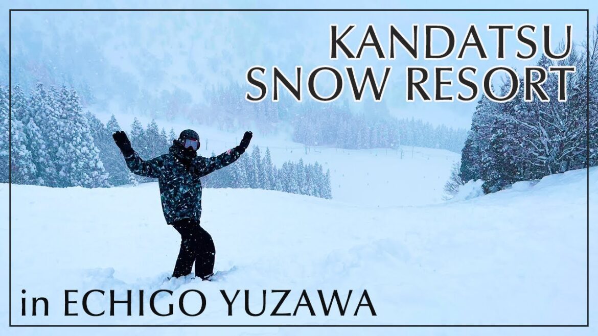 從越後湯澤車站搭免費公車10分鐘就能抵達的天然粉雪滑雪場（神立高原滑雪場）