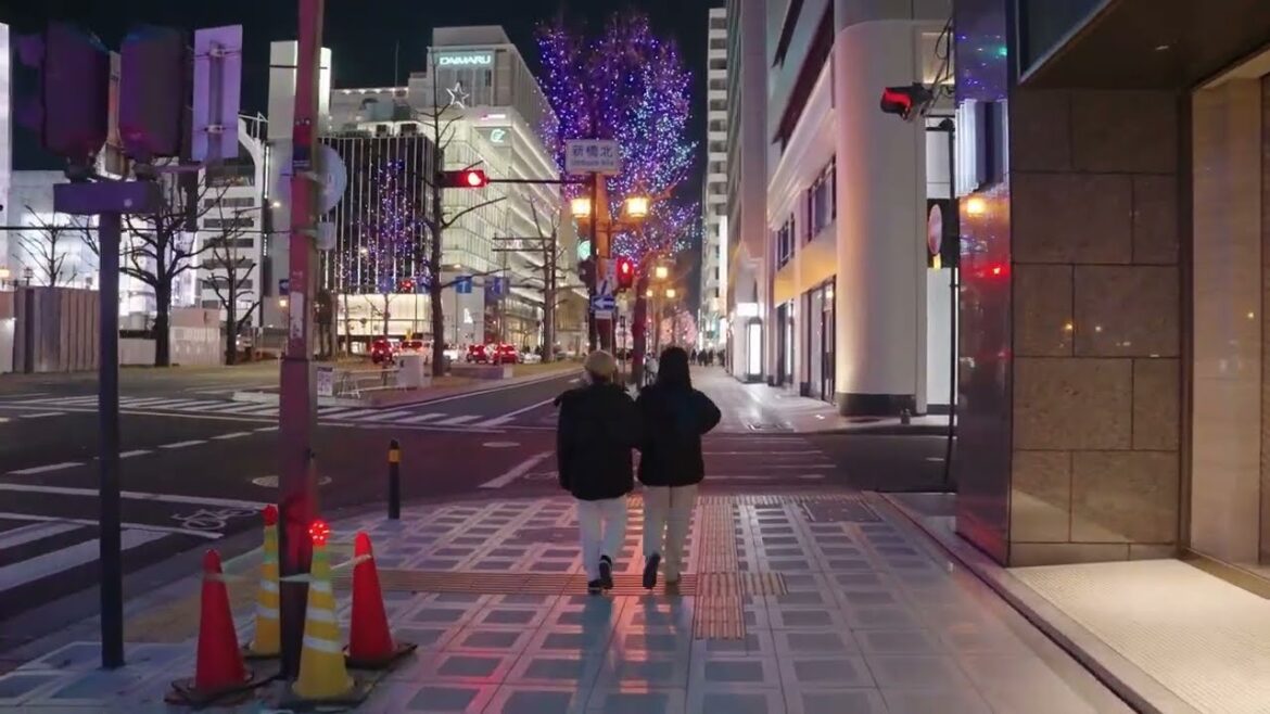 [4K HDR] Osaka Midosuji Christmas Lights 2022