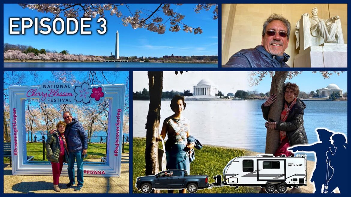 Cherry Blossom Festival in Washington DC - Spring 2022 Episode 3