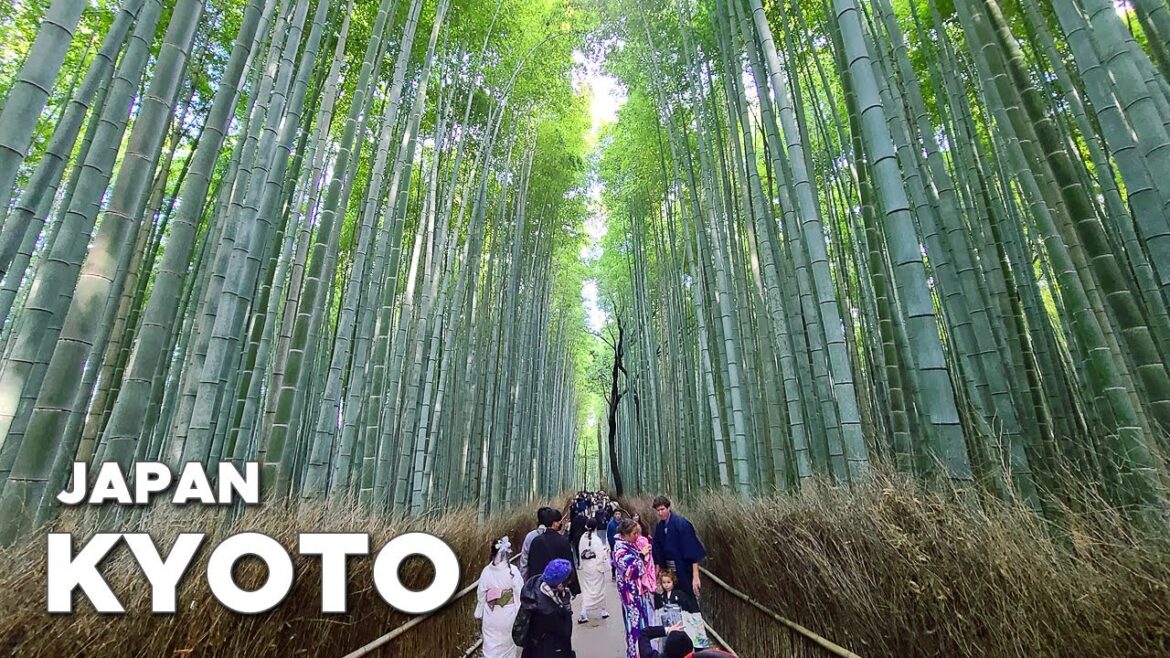 Japan Kyoto, Arashiyama Bamboo Forest and Riverside Walk 嵐山散歩 - 4K Walking Tour