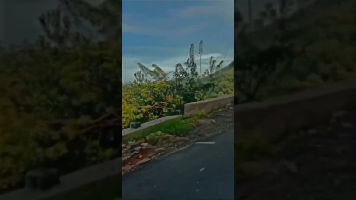 Traveling by bike for an eco-friendly trip to the mountains 😍💕 #shorts #ytshorts #vairalshorts Traveling by bike for an eco-friendly trip to the mountains 😍💕 #shorts #ytshorts #vairalshorts