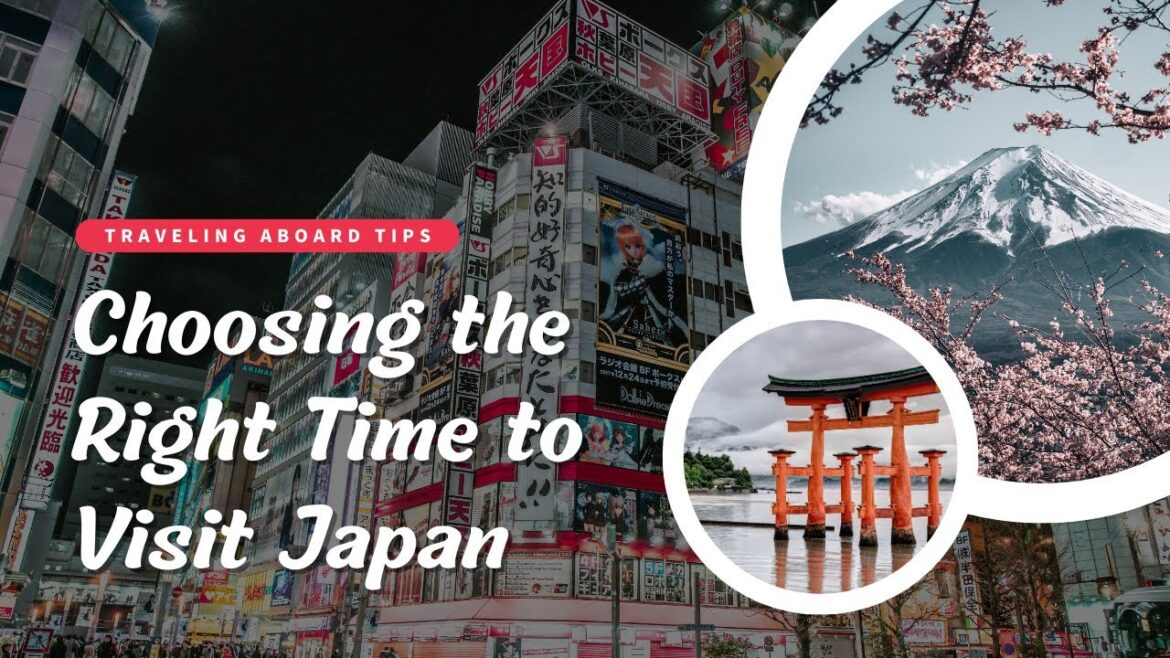 Japan Travel Guide, Things I Wish I'D Known Before Going to Japan