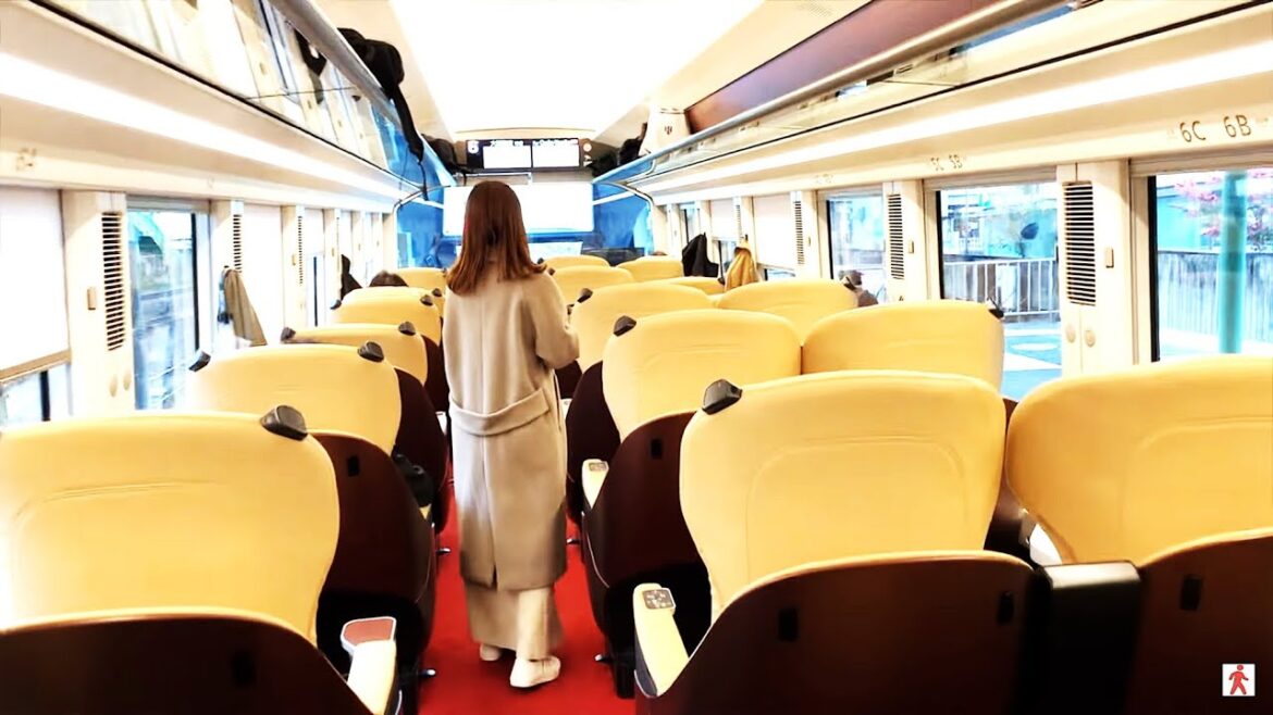Kintetsu Limited Express HINOTORI  Premium Seat and Tsuruhashi (Korea Town area) in OSAKA