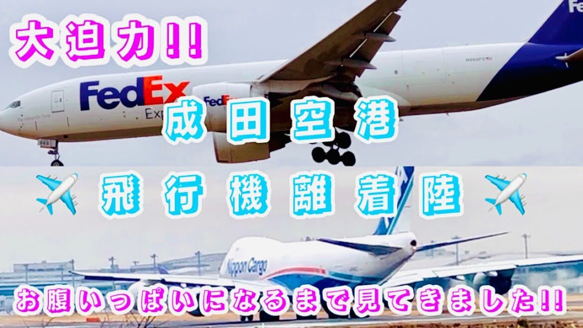 迫力満点‼︎飛行機の離着陸✈️成田空港編 迫力満点‼︎飛行機の離着陸✈️成田空港編