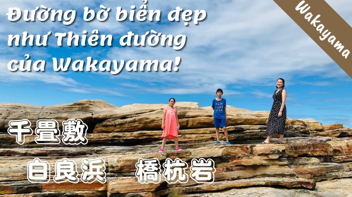 Những điểm MUST GO dọc bờ biển tuyệt đẹp của Wakayama 千畳敷 – 白良浜 – 橋杭岩 | WAKAYAMA #1 | Nhà Sakura Những điểm MUST GO dọc bờ biển tuyệt đẹp của Wakayama 千畳敷 - 白良浜 - 橋杭岩 | WAKAYAMA #1 | Nhà Sakura