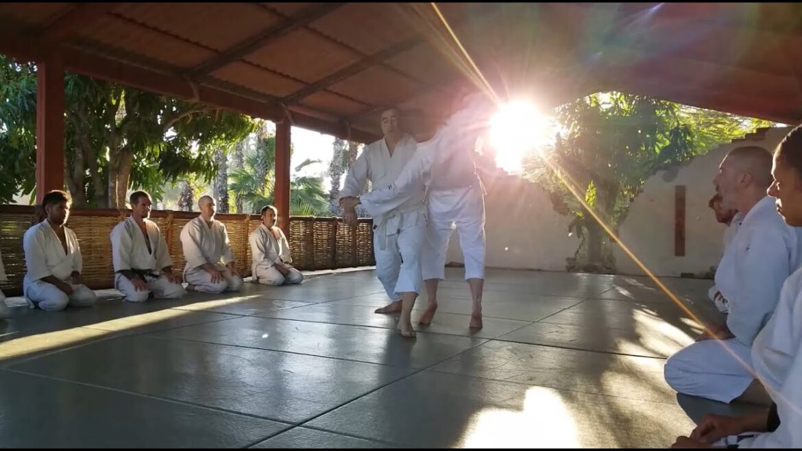 Aikido Winter Camp February 8-15, 2020 @bajaAikido Aikido Winter Camp February 8-15, 2020 @bajaAikido