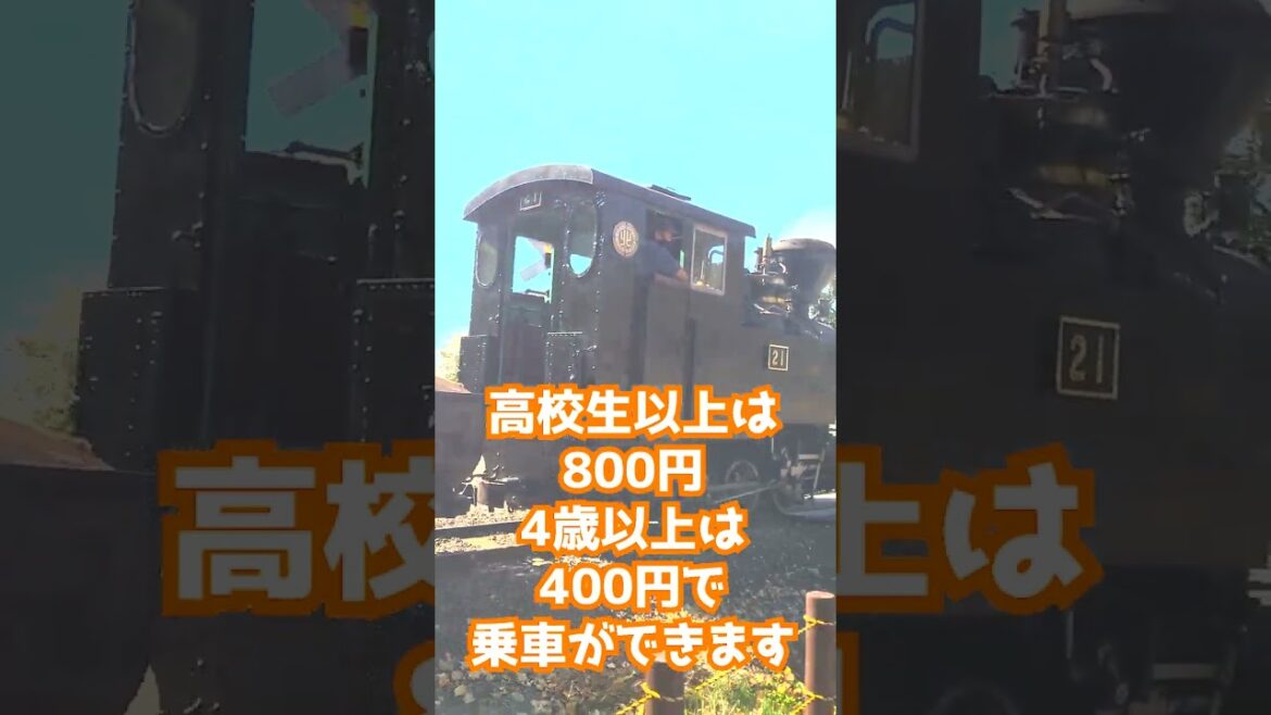 【キャンプ】遠軽町丸瀬布のいこいの森オートキャンプ場が楽しすぎた#shorts #キャンプ #北海道