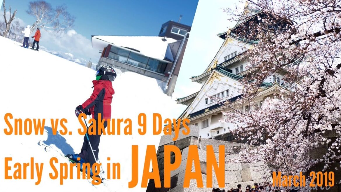 9 Days Spring Trip to Japan | Osaka, Kobe and Hokkaido | Cherry Blossom | Niseko Ski