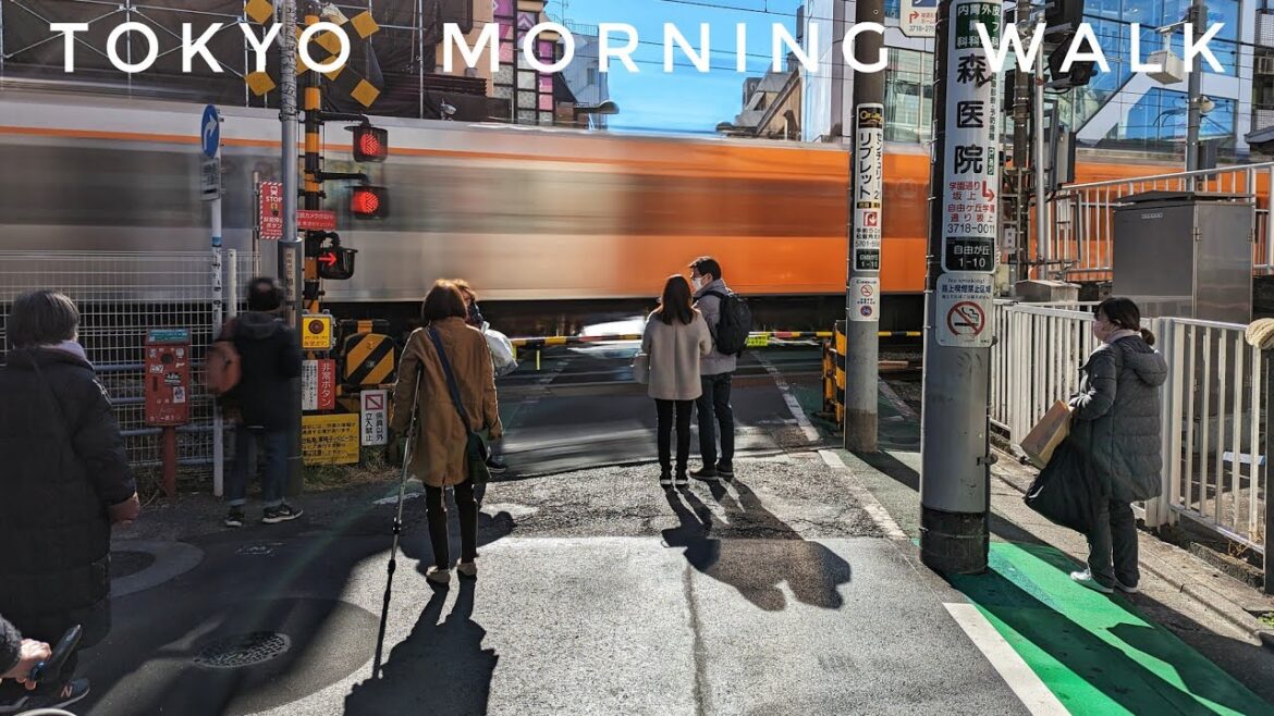Tokyo Morning Photowalk 📷 First Japan Live Walk of 2023! Futakotamagawa to Jiyugaoka
